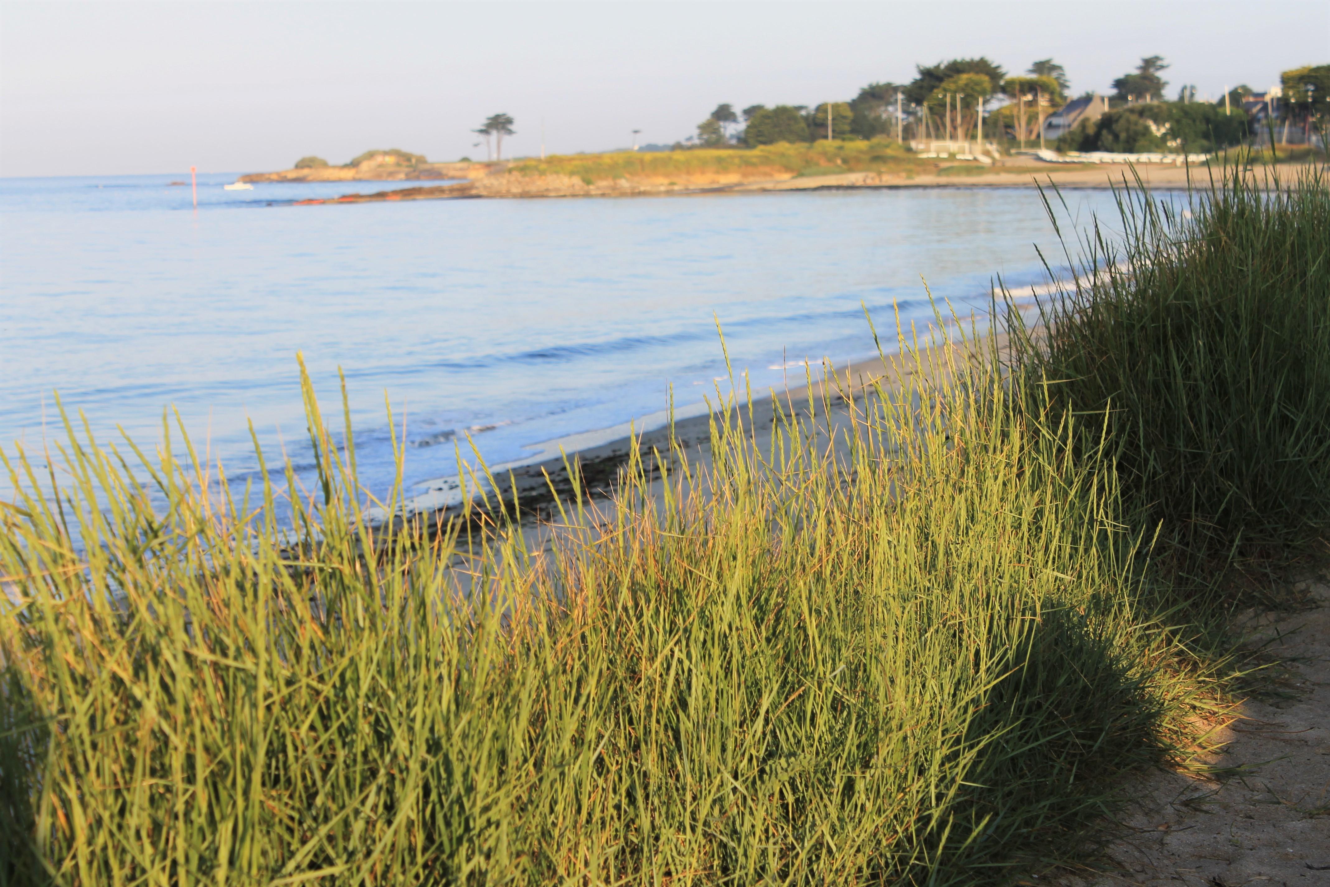 Logis Hotel & Restaurant Les Mouettes - Larmor Plage, Proche De Lorient Exterior photo