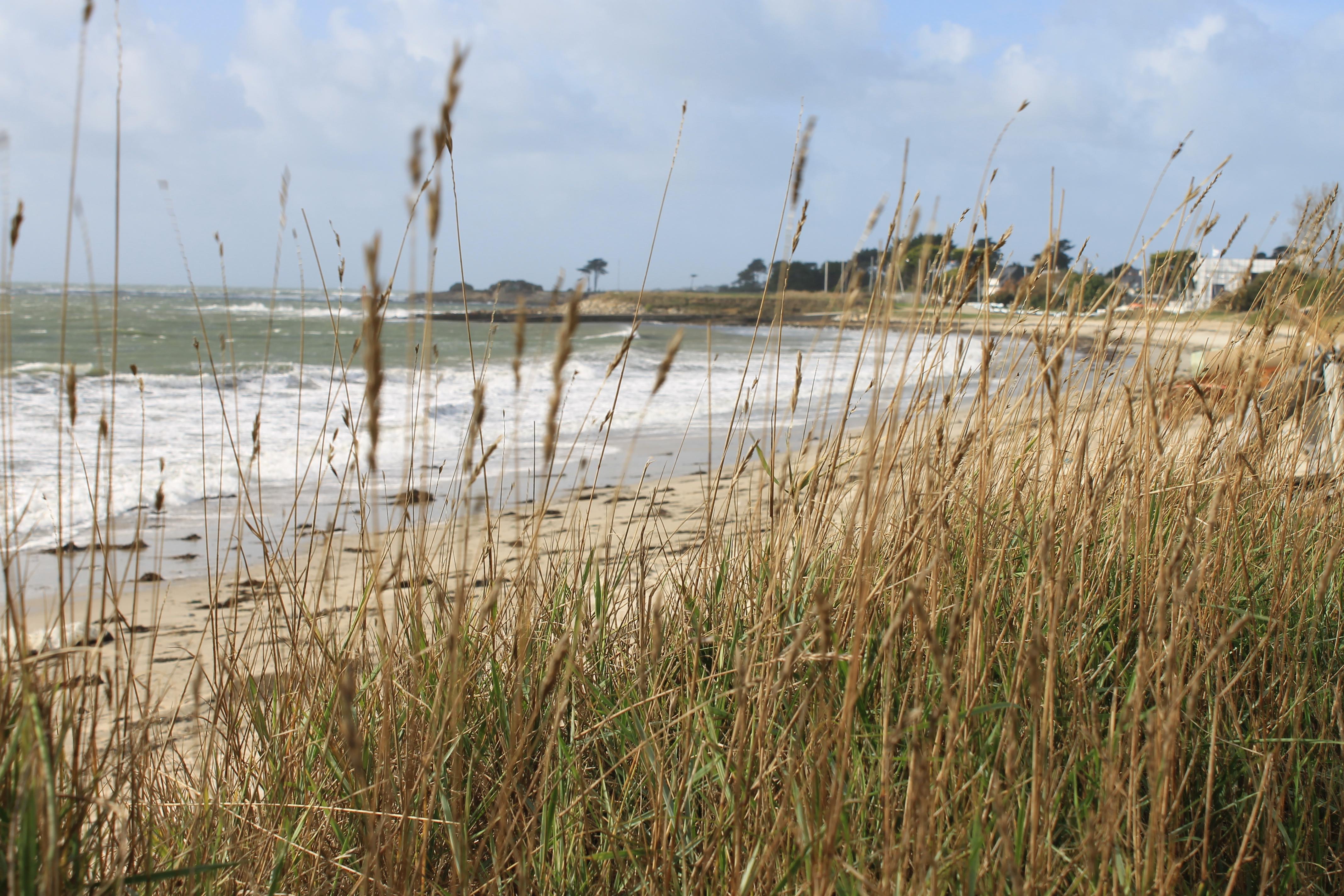 Logis Hotel & Restaurant Les Mouettes - Larmor Plage, Proche De Lorient Exterior photo